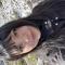 Imagen de Valentina.castro